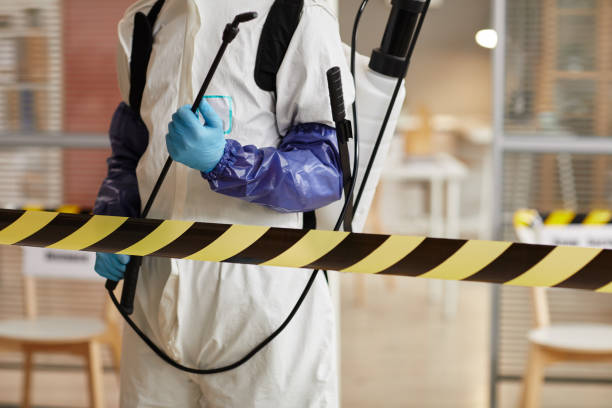 Professional Hoarding Cleanup technician working in Hillsboro, TX